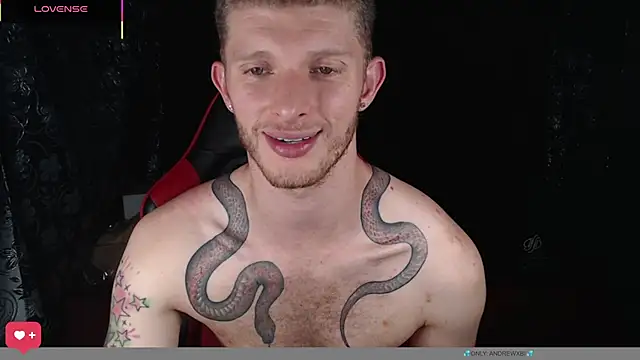 Show modela andrewxbi na web-kameri