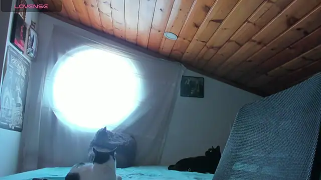 Czat XXX na żywo – Darkness_jones_