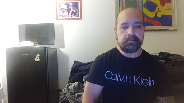 AMIRDIB2025 webcam show