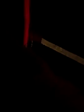 Wild-Dreams Webcamshow