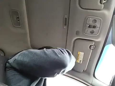 bear8t – webcam-show