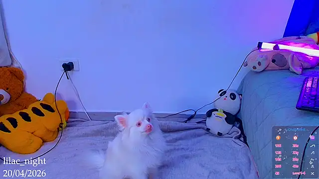 Živý XXX chat lilac_night33