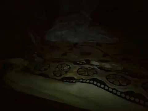 Živý XXX chat MakeMeCumAhh