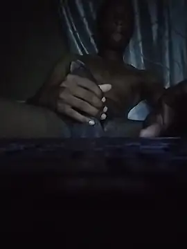 Sakile113n Webbikameraesitys