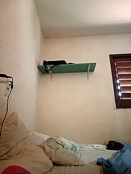 Show Webcam de l-u-aa