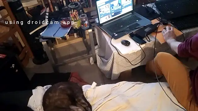 Show modela Mastersanges na web-kameri