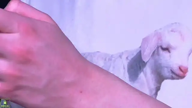 RoxyKyper Chat XXX live