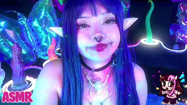 LaytonBox Show Webcam