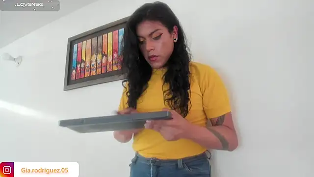 Jess_Hoffmann Webbikameraesitys