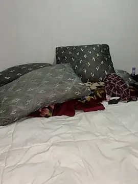 Show webcam de dick4mami