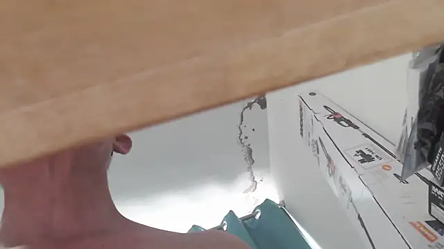 Webkamerová show pellux2016