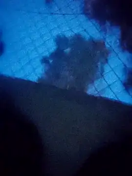 wolf113rn Webbikameraesitys