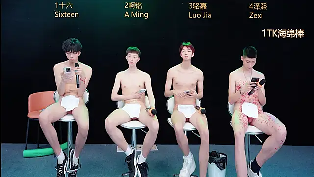 Show Webcam de Eraser711