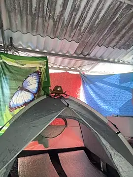 Mydreams69 – Kamerová šou