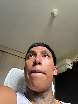 sendfer 网络视讯表演