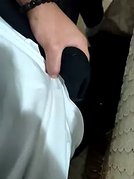 CattingSample Webcam Show