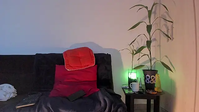 Erickpritz_xh Show in webcam