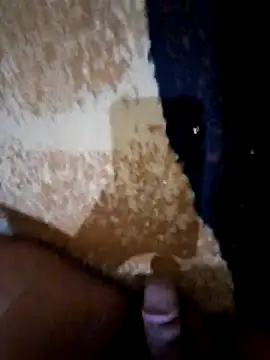 elvireli Pertunjukan Webcam