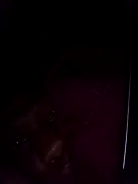 Webkamerová show Sexxoophone