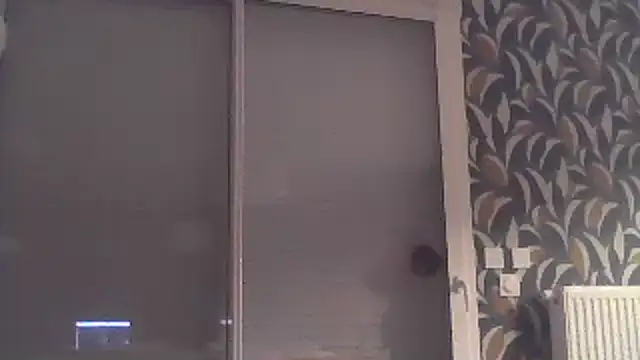 sexy007sexy Show Webcam