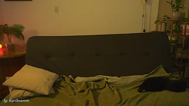 Karibeam's Live XXX Chat