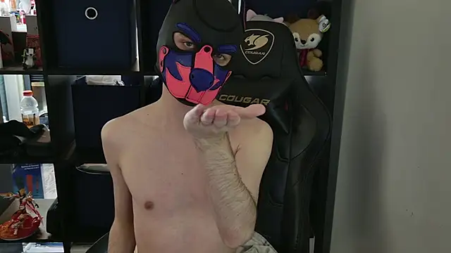 MellPUP webkamerás műsora