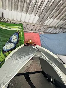 Mydreams69 现场XXX聊天