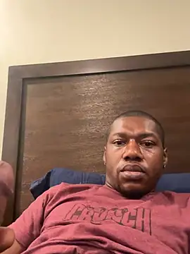 forfunsiesn Webbikameraesitys