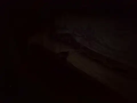 MakeMeCumAhh 即時 XXX 聊天