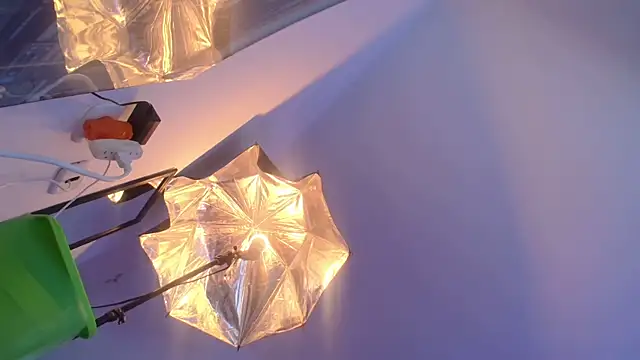 lizzy_squirt Chat XXX in diretta