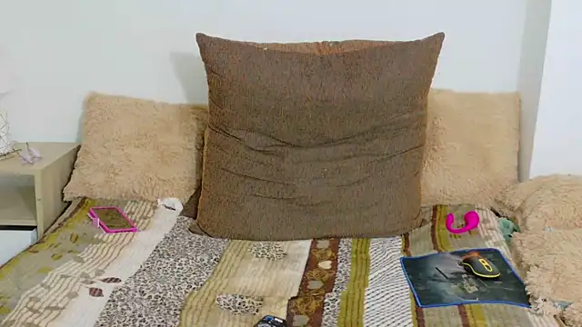 Show Webcam de irisconde