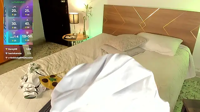 Amy_art 网络视讯表演