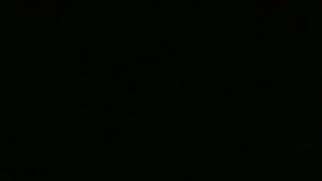 chichoplus' Webcam Show