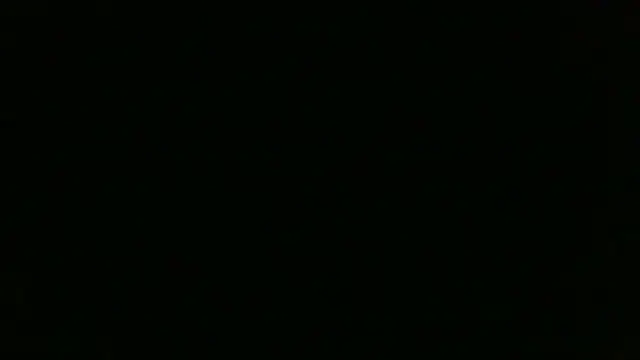 Chichoplus1 웹캠 쇼