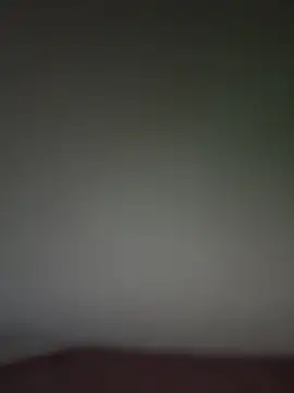 Вебкам-шоу dandodur