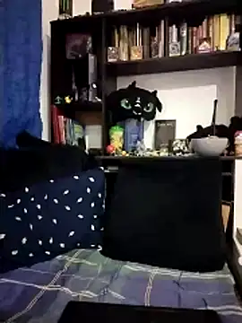 Show modela AoA-BoyStudent na web-kameri