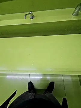 steffaan Webbikameraesitys