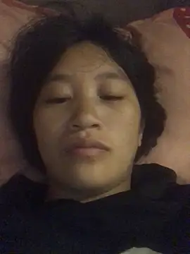 han-camx Show Webcam