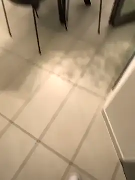 Lambe91のウェブカメラショー