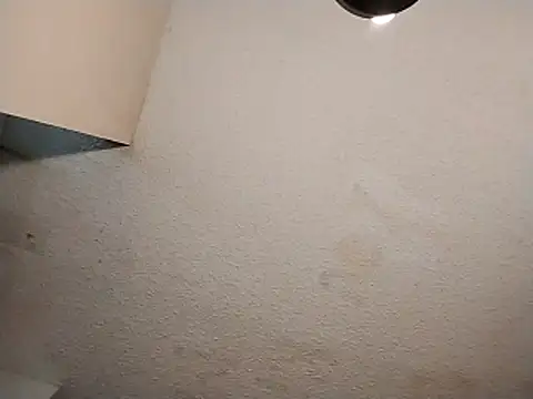 247Srokinのウェブカメラショー