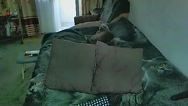 Czat XXX na żywo – sex2