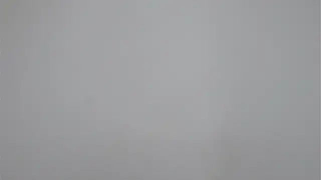 Sweet_Sammy_ লাইভ XXX চ্যাট