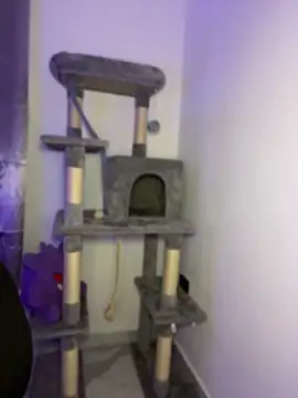 Daniela_ruizz: απευθείας συνομιλία ΧΧΧ