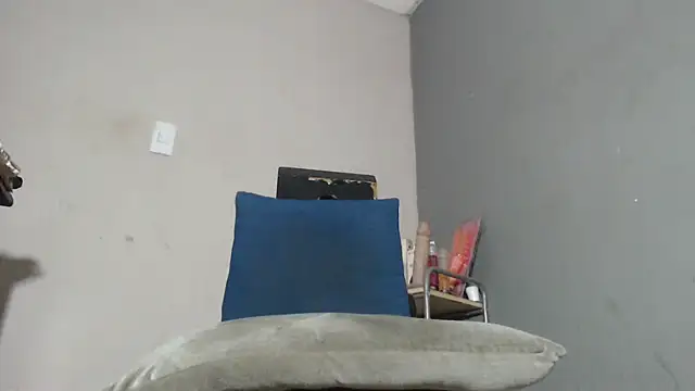 Amazing12inch Show Webcam