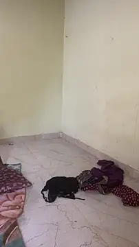 Chat XXX ao vivo de hornysofiya