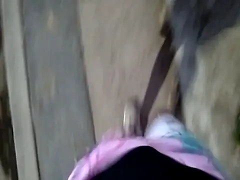 Show Webcam de Chacal_Armyy