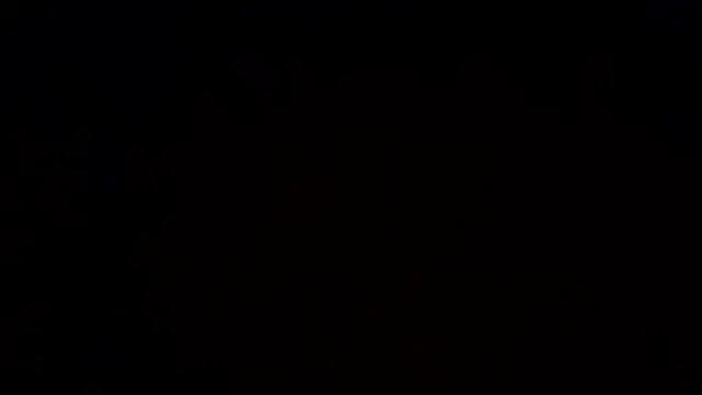 Pertunjukan Kamera Web woww791