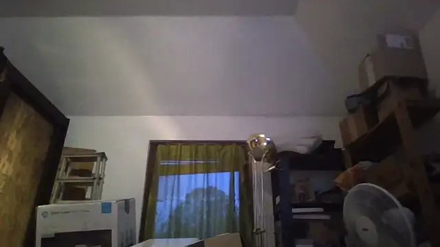 Show webcam de Vandrino