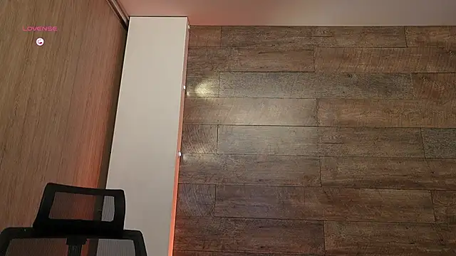 Show webcam de connor_h1