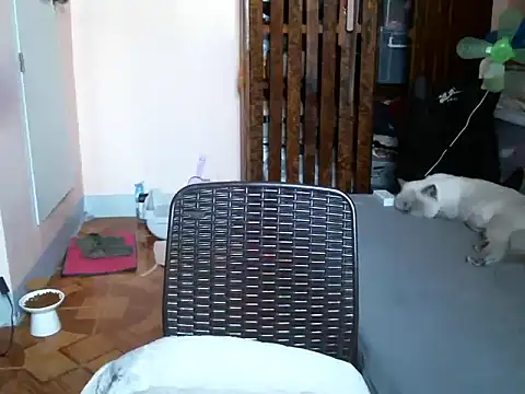 Chat XXX Live im_your_secret